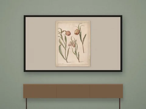 Botanical Study Frame TV Art: preview