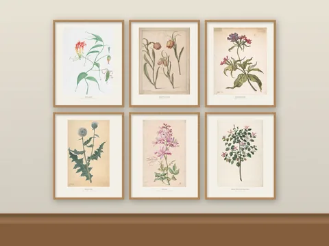 Vintage Botanical Drawing Prints: preview